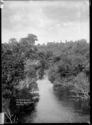 Okupata River, Kawhia
