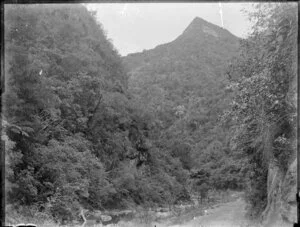 A rocky gorge, with a rough road