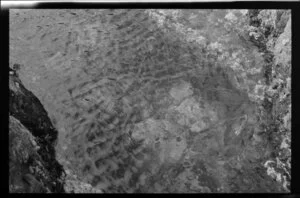 Rock pool at Eastbourne