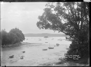 View of Auckland Harbour and Watchman Island from Point Erin Park