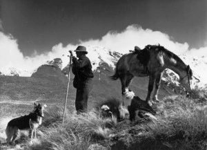 Sheep musterer with horse, dogs, and snow on mountains behind; location unidentified