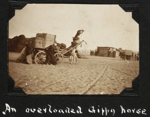 An overloaded horse, Zeitoun, Egypt