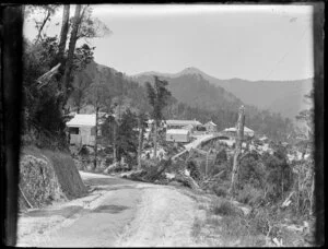 Small settlement with hotel on the side of a hill, Williamsford, Tasmania