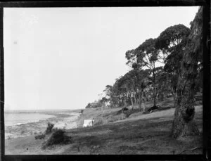 Beach with trees and grass, and a wharf and building in the distance, [Australia]