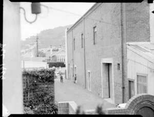 Driveway, Karori, Wellington