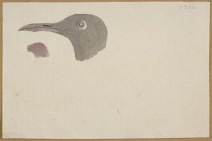 Ellis, William Wade, d 1785 :[Bird's head. 1779]