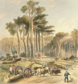 [Brees, Samuel Charles] 1810-1865 :Messrs Clifford's & Vavasour's clearing (Skipwith's), Parerua Bush. [1847]