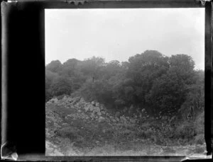 Rocky terrain and bush, Auckland [Devonport?]