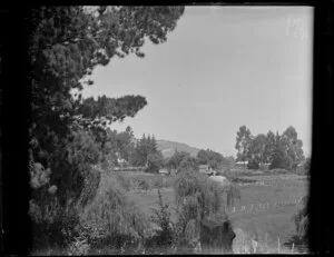 Te Aroha, Piako County, Waikato