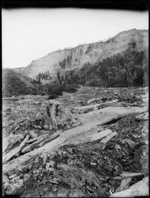 Landslide and flood damage caused by the Murchison earthquake; shows mud and tree branches in a rural area