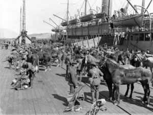 Soldiers and horses on a wharf, getting ready for departure during World War I, Christchurch