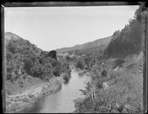 Waimata River, Poverty Bay, Gisborne Region, featuring native bush