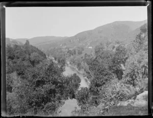 Waimata River, Poverty Bay, Gisborne Region, featuring native bush