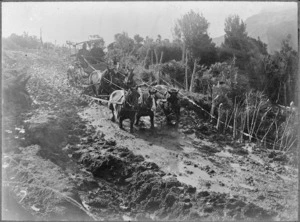 Horse drawn coach driving in deep mud on a East Coast Road between Waipiro Bay and Gisborne