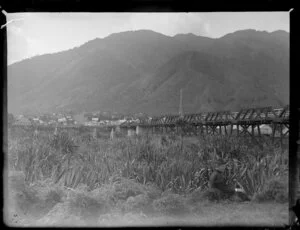 An unidentified woman sits in front of flax and cabbage trees with a railway bridge over the Waihou River and the township of Te Aroha, Waikato Region, in the background