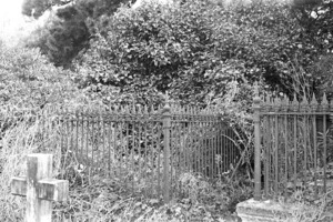 Duncan family grave, plot 5407, Bolton Street Cemetery