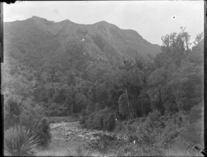 Small river in mountain bush setting, location unidentified