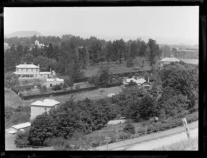 Remuera, Auckland, featuring large, two-storied houses, and trees