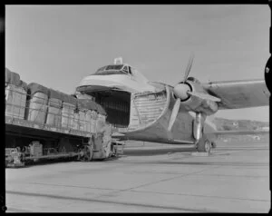 Loading a Bristol Freighter B 170 aeroplane, Rongotai Airport, Wellington