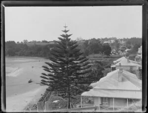 Coastal scene at St George's Bay, Auckland, including houses, a large Norfolk pine, and unidentified figures on the beach