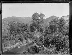 Waimata River, Poverty Bay, Gisborne Region, featuring native bush
