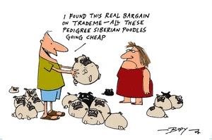 "I found this real bargain on TradeMe - all these pedigree Siberian poodles going cheap"