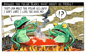 Bugger the polar bears, what about us frogs?