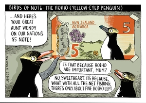 Birds of note: the Hoiho (yellow-eyed penguin)