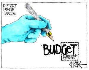 DHB exec budget