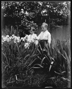 Two small boys with irises