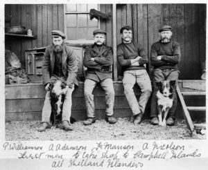 Shetland Island farmers, Campbell Island
