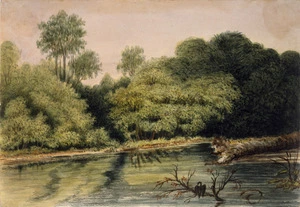 Gold, Charles Emilius, 1809-1871 :[Bush and river scene with black shag, possibly the Hutt River. Between 1847 and 1860]