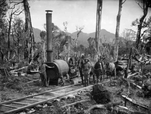 Timber workers next to a bush railway and a log hauler, Kaitaki Ranges