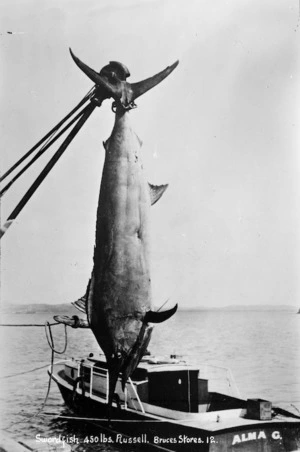 Swordfish caught at Russell