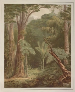 Gully, John, 1819-1888 :New Zealand forest (bush) vegetation. / John Gully, 1875. Dunedin, 1877.