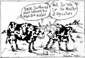 Walker, Malcolm 1950- :Daisy ... I'm worried about catching this Mad Cow Disease ... Well ... I'm safe, I'm the Minister of Agriculture ... 1996