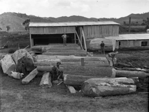 Kauri logs outside the Newman brothers' timber mill, Northland