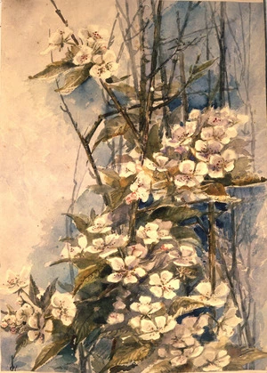 [Hodgkins, Isabel Jane] 1867-1950 :[Plum blossom. ca 1890]