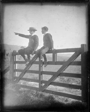 Two boys sitting on a gate