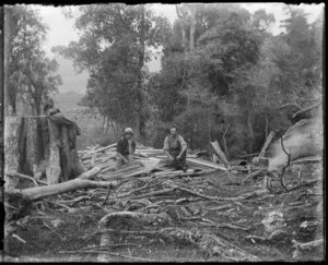 Two men seated amongst split logs