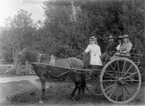 Group in a horse and trap