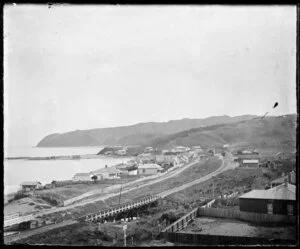 View of houses, Plimmerton