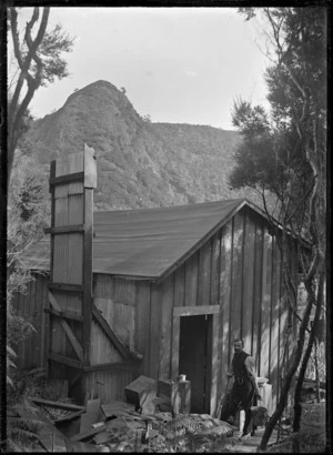 A wooden hut in the bush with Albert Percy Godber standing outside, Kitenui Knob in the background.