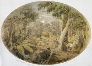 Strutt, William 1825-1915 :Bush falling, Taranaki, New Zealand. Jan., 1857