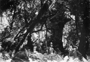 C H Martin, E S Lancaster and J Pollock following a wild cattle track alongside the Mangahao River.