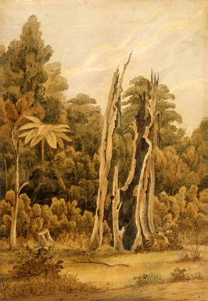 [Smith, William Mein] 1799-1869 :[Bush scene in the Wairarapa, 1840s or 1850s]