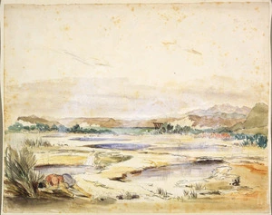 [Angas, George French], 1822-1886 :Hot springs or boiling ponds near Taupo Lake Oct. 26th 1844