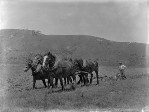 A man clearing the land using a horse drawn plough