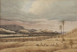 [Smith, William Mein] 1799-1869 :[Sheep grazing on a Wairarapa run. 1840s or early 1850s?]