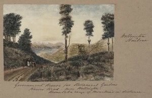 Pearse, John, 1808-1882 :Government Reserve for Botanical Gardens, Karori Road - near Wellington. Rimutaka Range of mountains in distance. [Between 1852 and 1856]